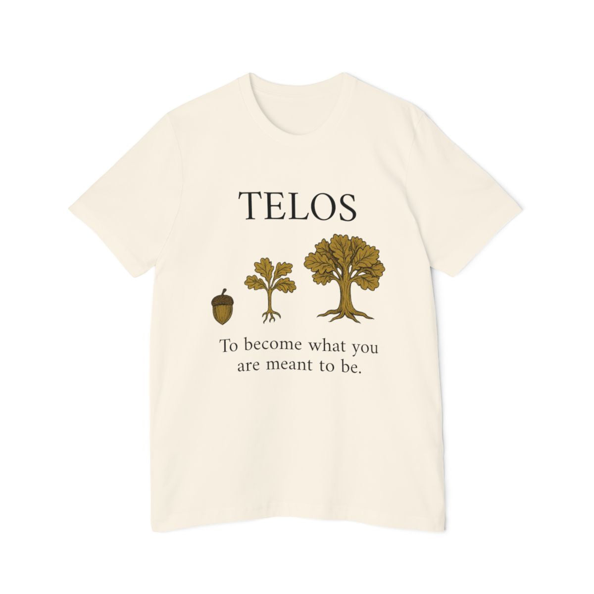 Aristotle - Telos