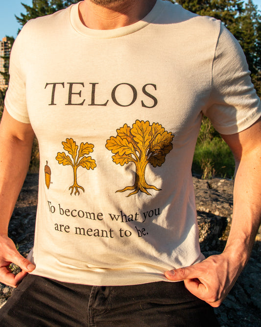 Aristotle - Telos