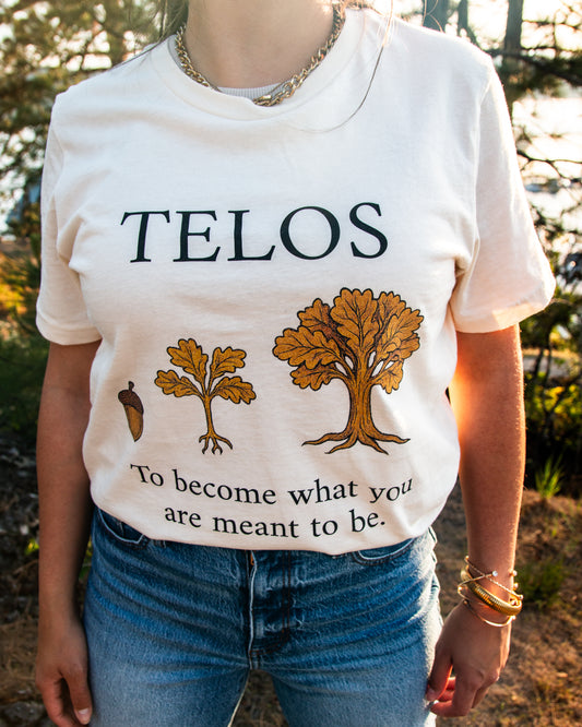 Aristotle - Telos